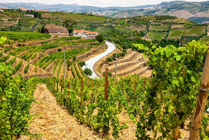 City Escape: Douro Valley Private Day Trip - Cancellation Policy and Refunds