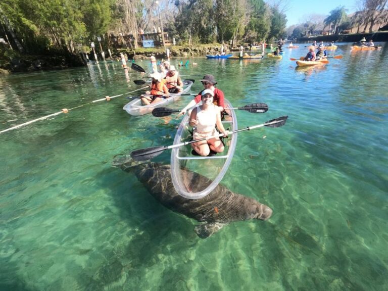 Crystal River: Springs And Manatees Clear Kayak Tour Tour Overview And Pricing