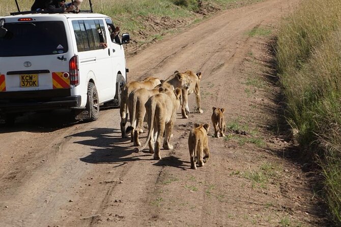 Day Tour to Nairobi National Park and Giraffe Center - Customized Safari Experience