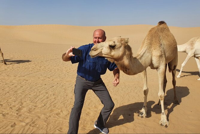 Desert Safari BBQ Dinner, Camel Ride & Sandboarding From Dubai - Pricing and Cancellation