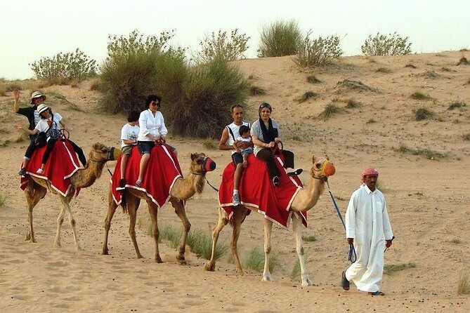 Desert Safari Tour, 6 Hour Fun, Family & Friends, Camel Ride & Dinner Included - Additional Options