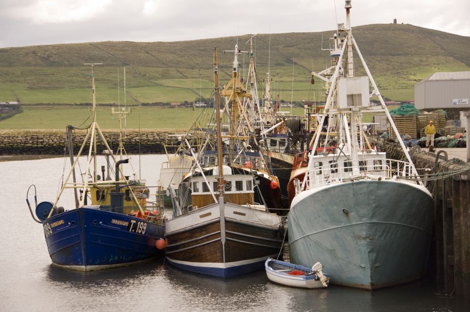 Dingle Day Tour From Limerick - Explore Dingle Town