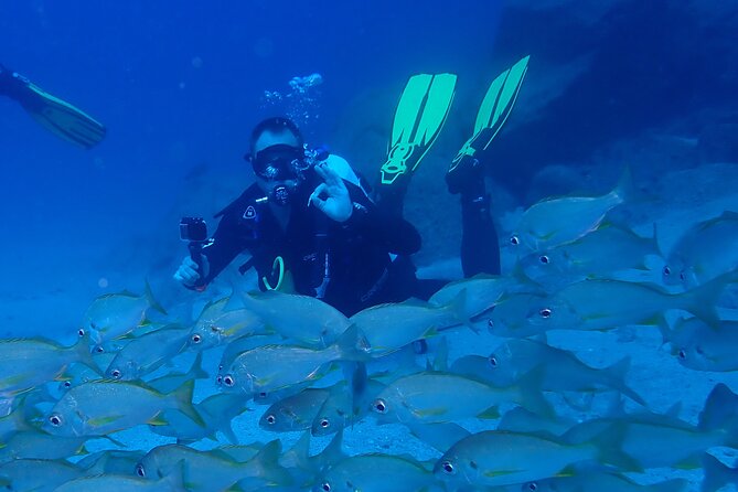 Discover Scuba Diving, Tenerife. Photos and Videos Included - Photos and Videos Provided