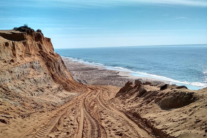 Doñana National Park and El Rocío: Guided Tour From Seville - Additional Information