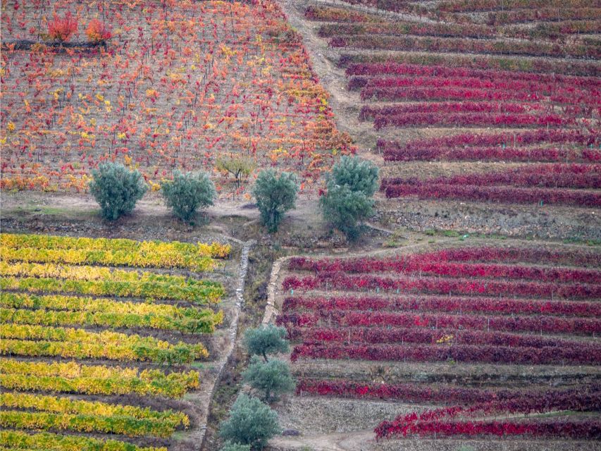 Douro Valley: 1 Day Landscape Photo Tour - Frequently Asked Questions