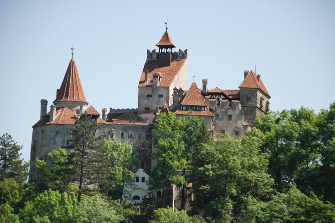 Draculas Castle & Peles Palace Tour From Bucharest Including Brasov Old Town - Discovering Peles Palace