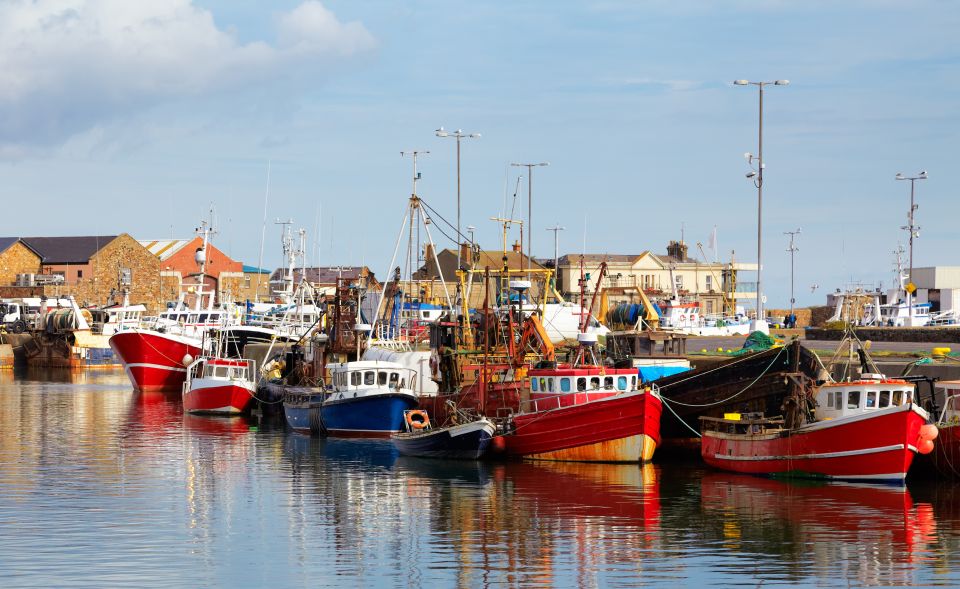 Dublin: Full-Day Howth and Malahide Castle Tour - Experiencing Howth