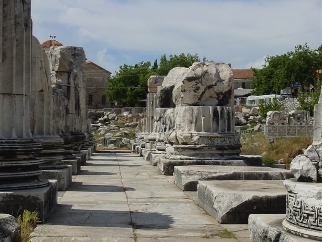 Ephesus, Priene, Miletus and Didyma Tour - Additional Information