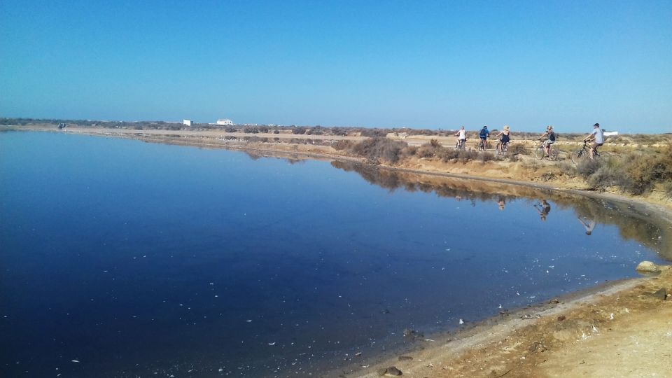 Faro Bike Tour Through the Beautiful Ria Formosa - Customer Feedback