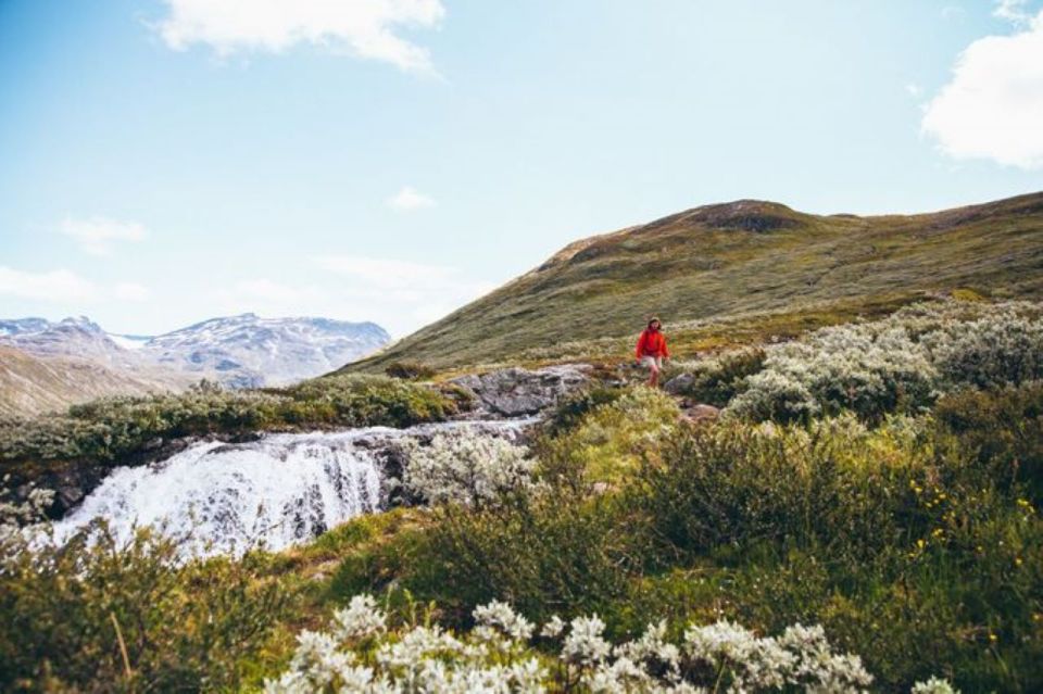 From Bygdin: Hike and Dine in Jotunheimen Tour - Additional Information