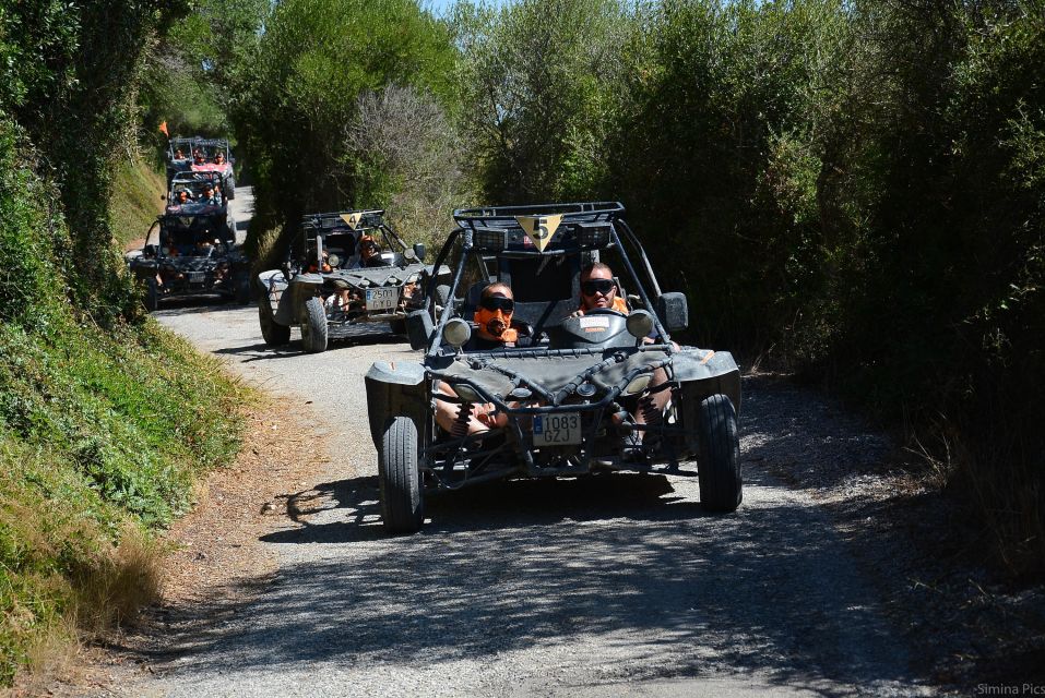 From East Mallorca: Guided Beach and Mountain Buggy Tour - Recap