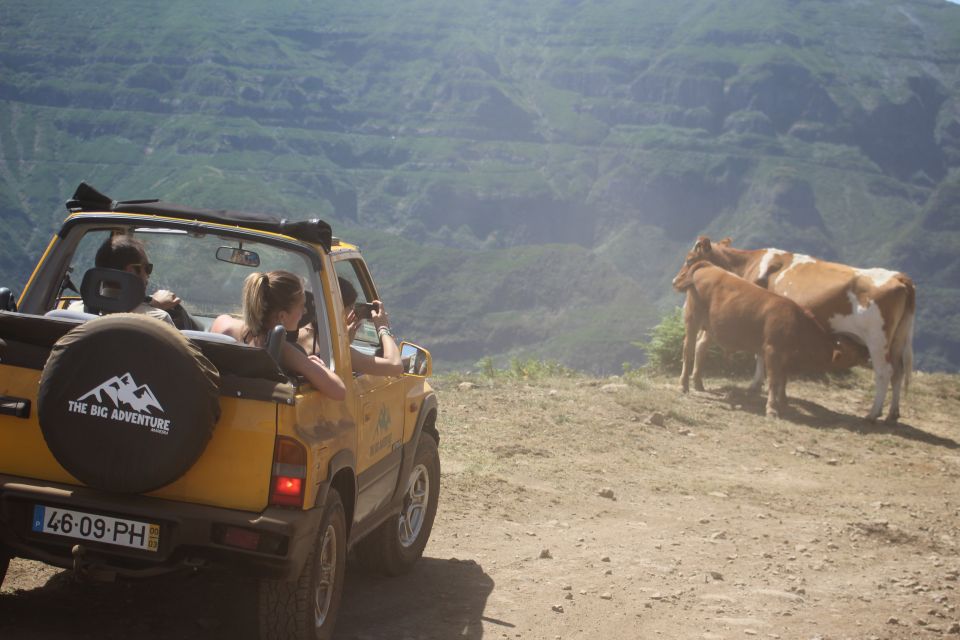 From Funchal: Guided Tour of Madeira Mountains in a Jeep - Frequently Asked Questions