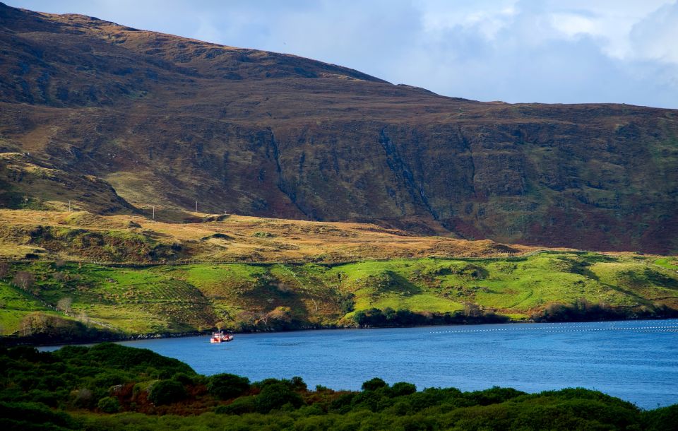 From Galway: Connemara National Park Full Day Tour - Meeting Point and Return Route