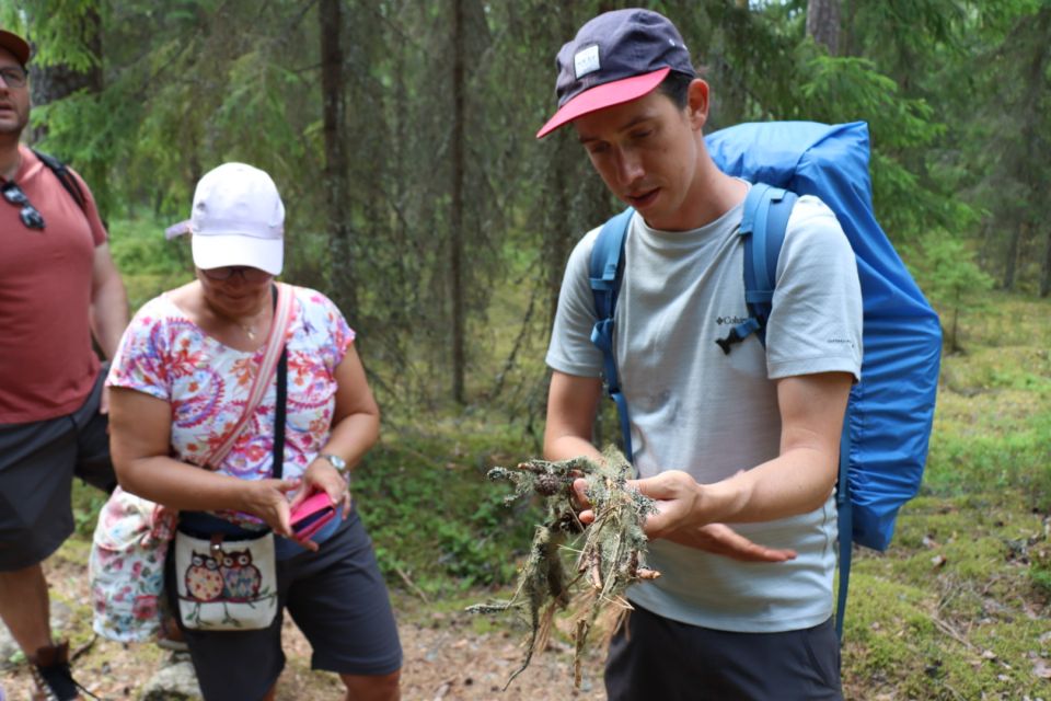 From Helsinki: Magical Taiga Hike in Liesjärvi National Park - Cancellation Policy