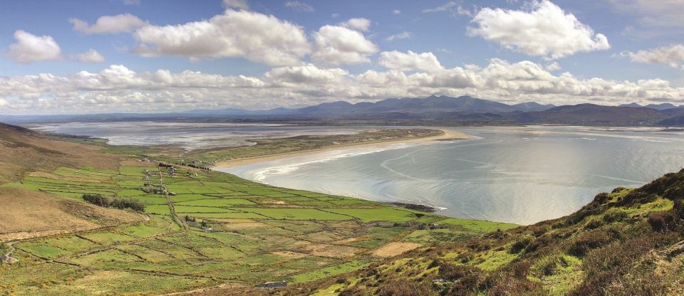 From Killarney: Day Trip to Dingle - Frequently Asked Questions