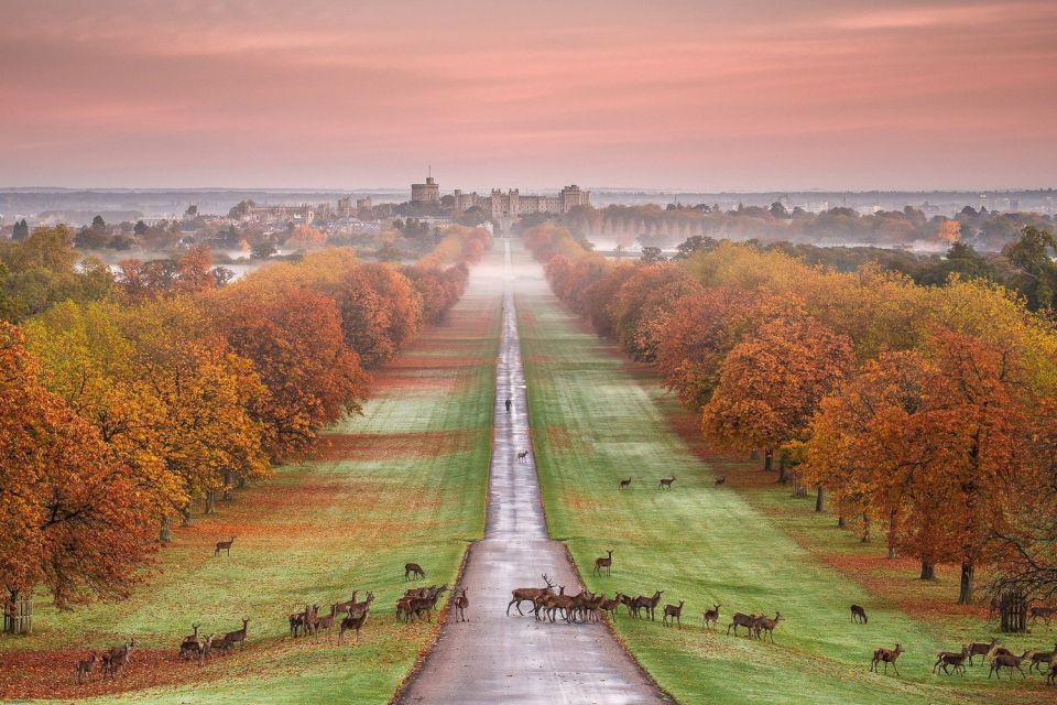 From London: Windsor Castle Afternoon Sightseeing Tour - Important Considerations