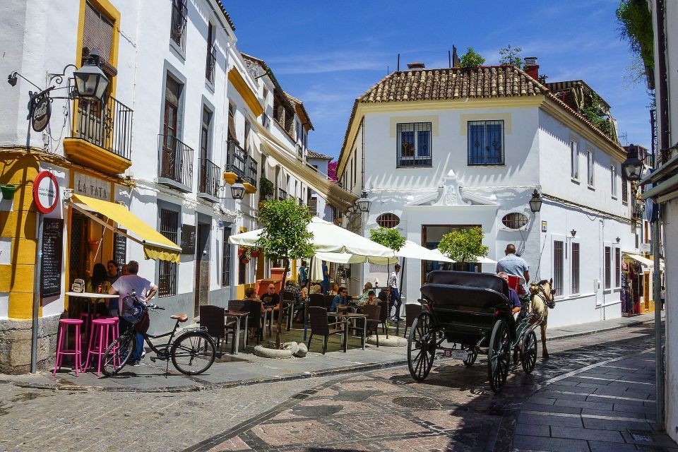 From Malaga: Private Guided Walking Tour of Córdoba - Recap