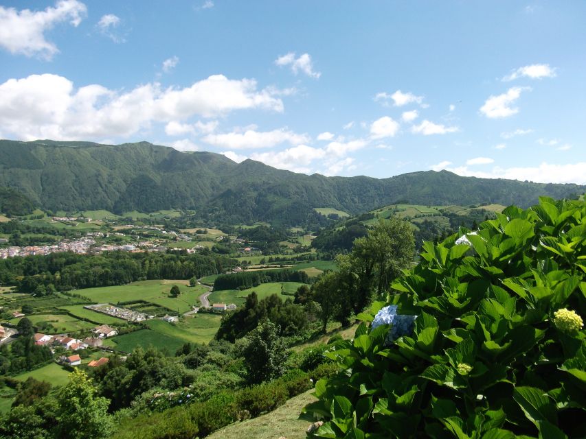 From Ponta Delgada: Furnas Lake Shore 4x4 Guided Day Trip - Visit a Tea Factory