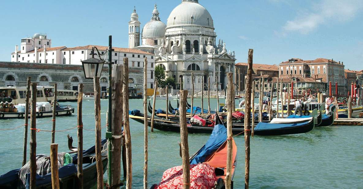 From Porec: Venice Catamaran Crossing One-Way or Round-Trip - Availability and Pricing