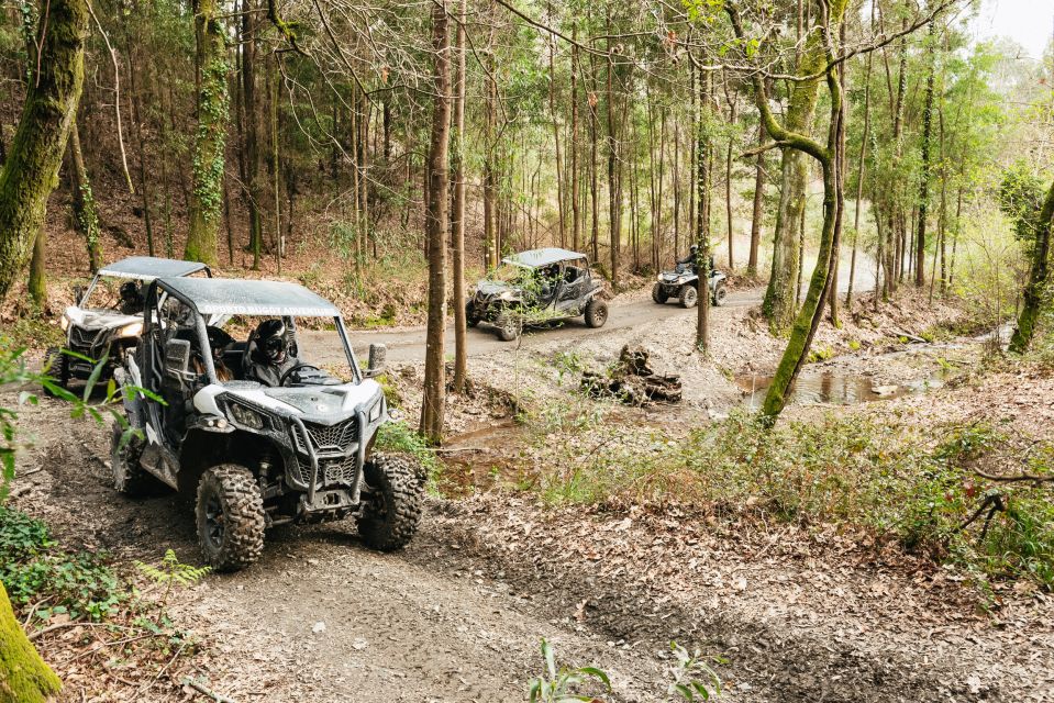 From Porto: Off-Road Buggy Adventure - Visiting Historic Sites