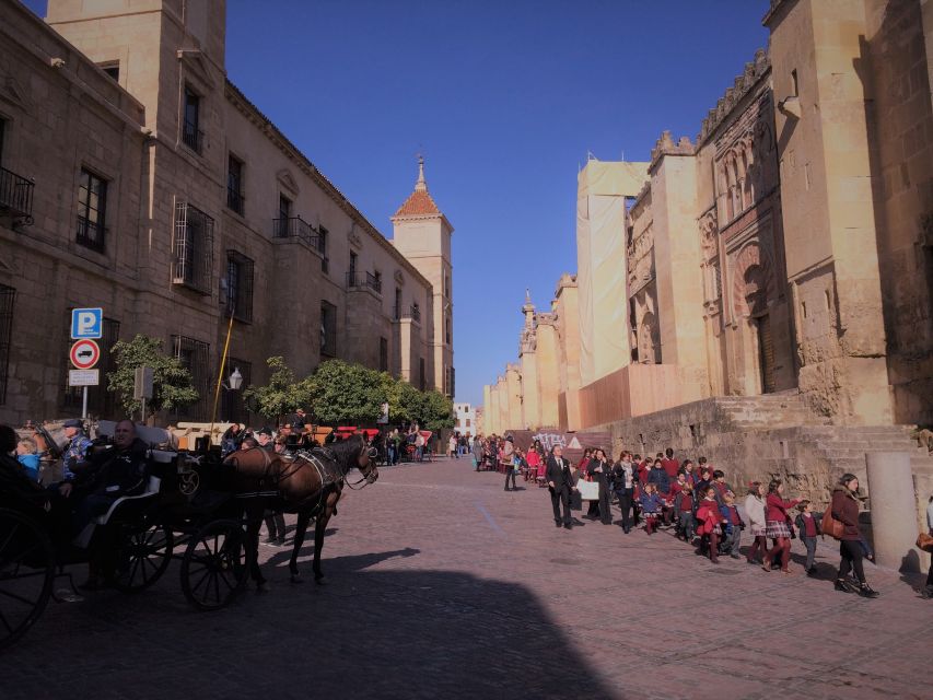 From Seville: Córdoba and Carmona Full-Day Tour - Whats Excluded