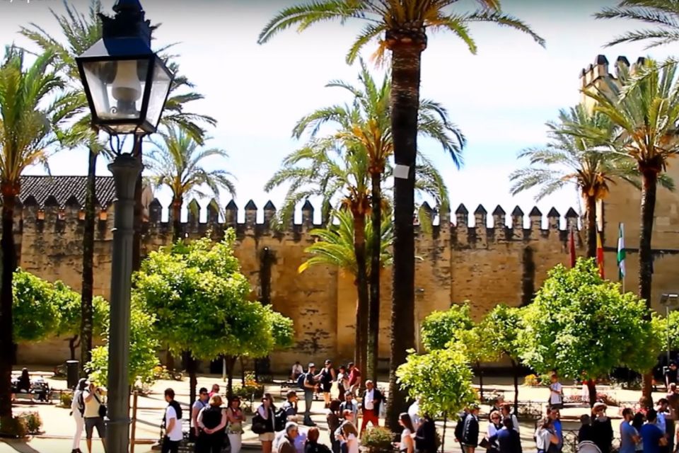 From Seville: Cordoba Full-Day Private Tour - Discovering the Caliphate City Center