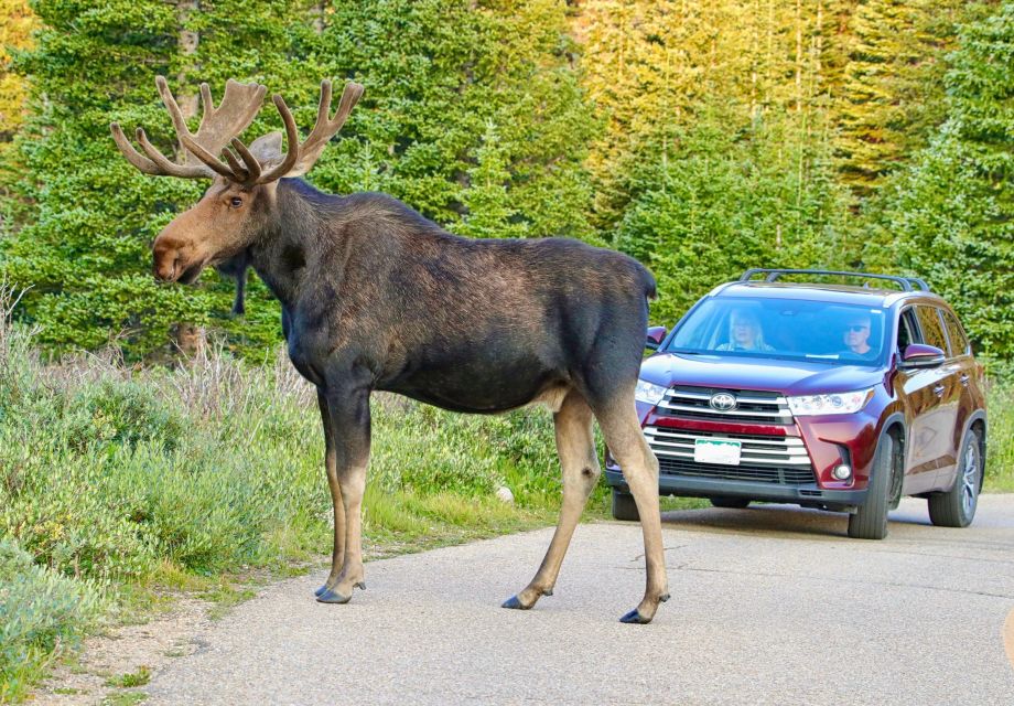 Full-Day RMNP Over the Top Tour - RMNPhotographer - Emergency Contact