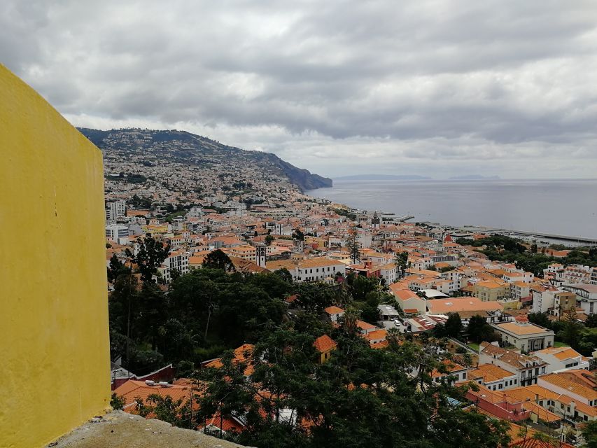 Funchal: City Tour in a Tukxi - Contact and Support