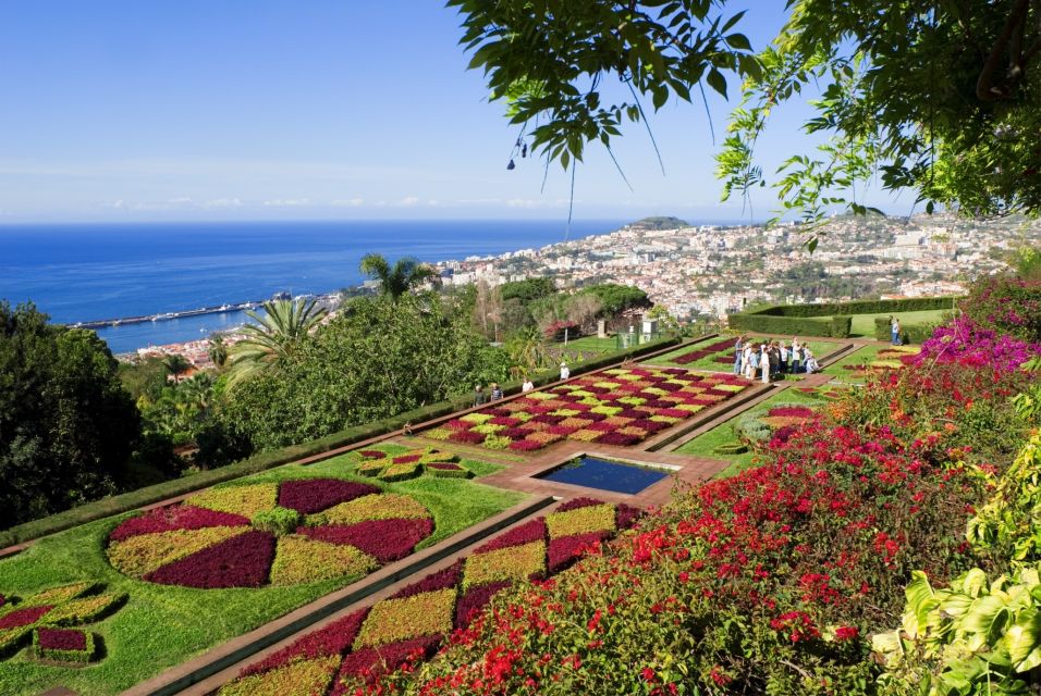 Funchal Tour and Câmara De Lobos Tour - Highlights and Points of Interest