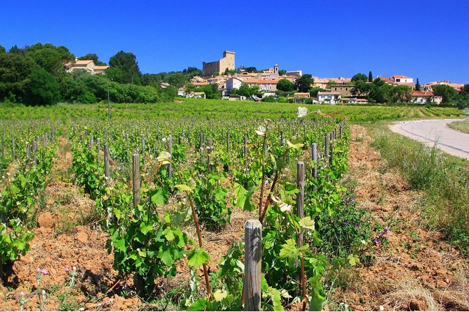 Half Day Great Vineyard Tour From Avignon - Cancellation Policy