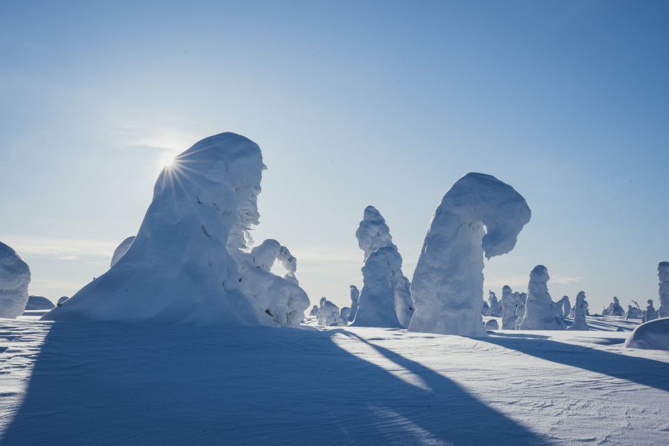 Hiking in Riisitunturi National Park With Photographer - Important Considerations