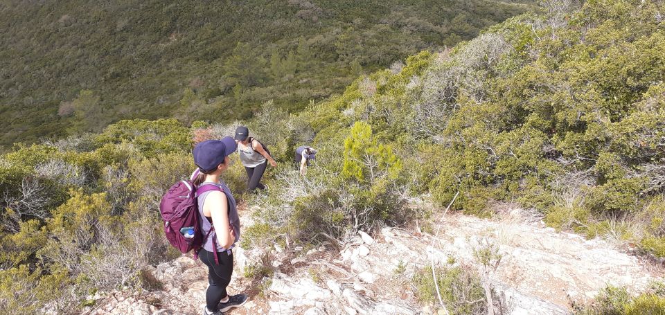 Hiking Tour to the Highest Point of Arrábida Mountain - Booking Information