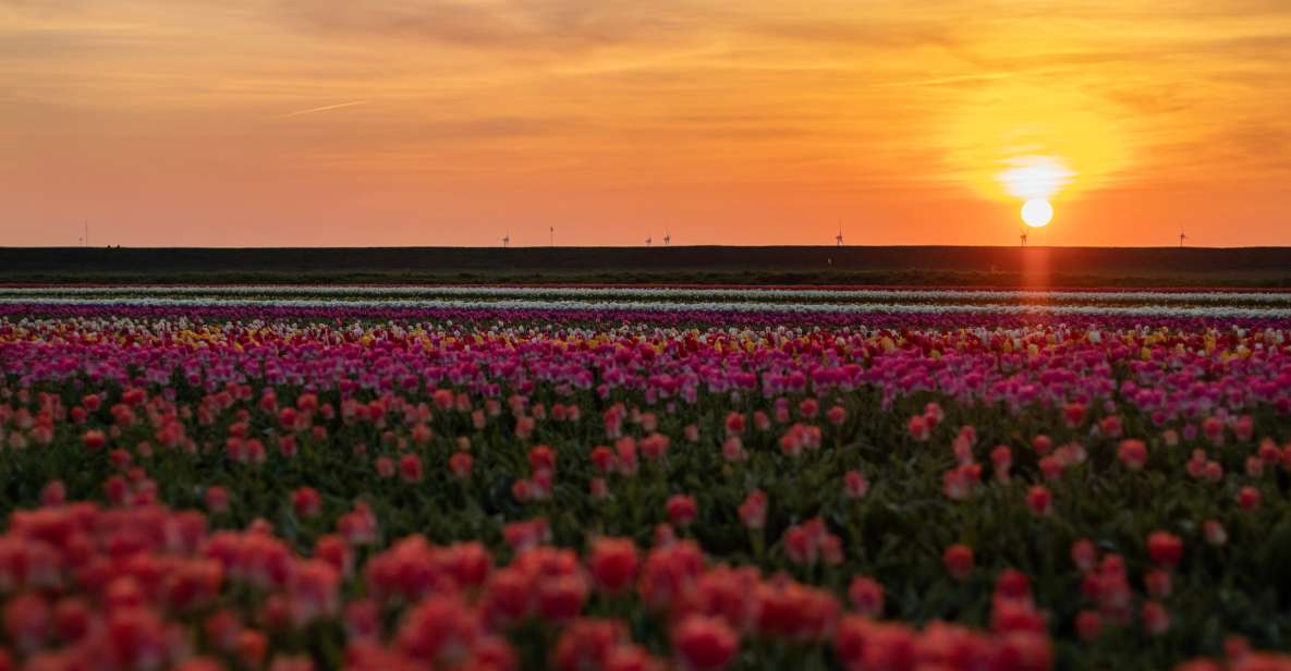 Hillegom: Guided E-Bike Tour at Sunset Near Keukenhof - Frequently Asked Questions