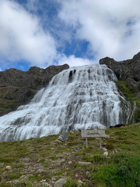 Isafjordur: Dynjandi Waterfall Tour and Icelandic Farm Visit - Pricing and Booking Details