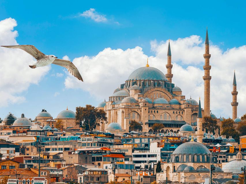 Istanbul: Bosphorus Cruise and Dolmabahçe Palace Day Tour - Important Considerations