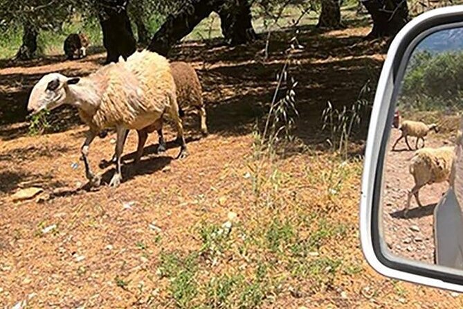 Jeep Safari 4x4 Crete Real off Road Mountain Tracks With Lunch From Hersonissos - Private or Small-Group Experience