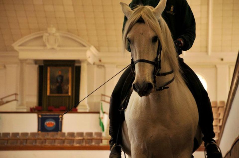 Jerez Private Tour From Seville: Wine and Equestrian Art - Social Distancing Seating