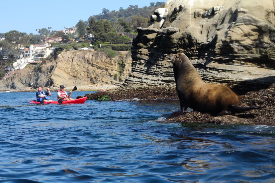 La Jolla: 2-Hour Kayak Tour of the 7 Caves - Cancellation Policy