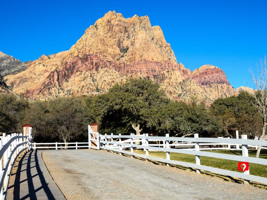 Las Vegas Day Trips: Self-Guided Audio Driving Tour - Lake Mead and Joshua Trees