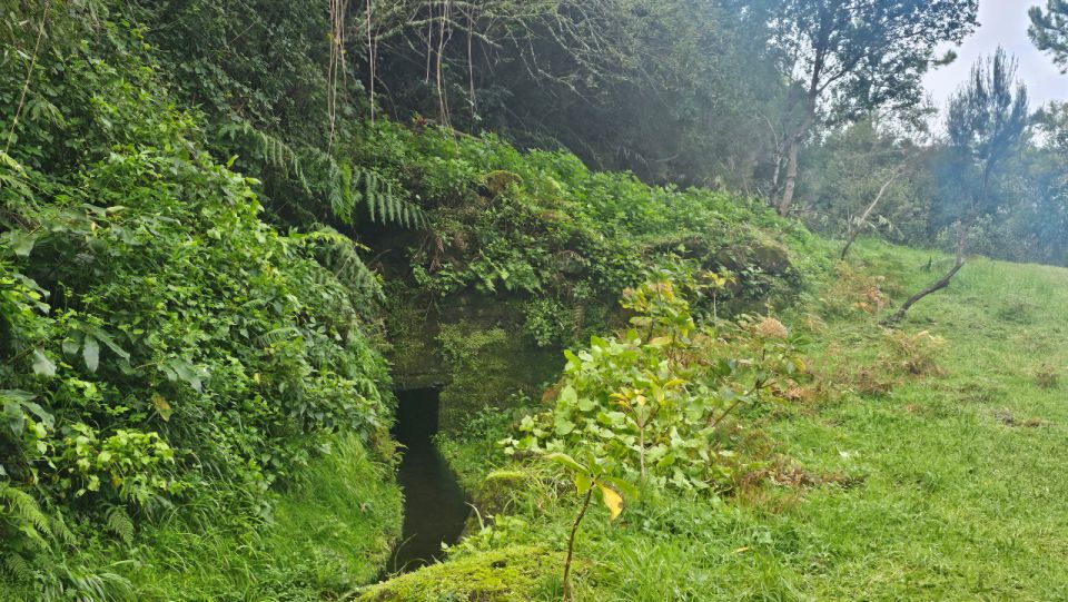 Levada Dos Tornos-Boaventura by Overland Madeira - How to Get There