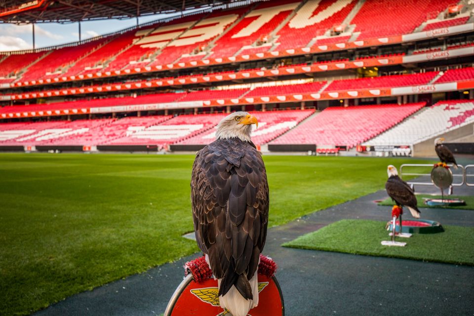 Lisbon: Luz Stadium Tour and SL Benfica Museum Ticket - Exploring Portuguese Football Culture