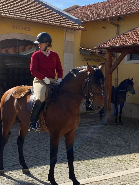 Lisbon: Morning of Equestrian Art With Lusitano Horses - Recreating 18th-Century Atmosphere