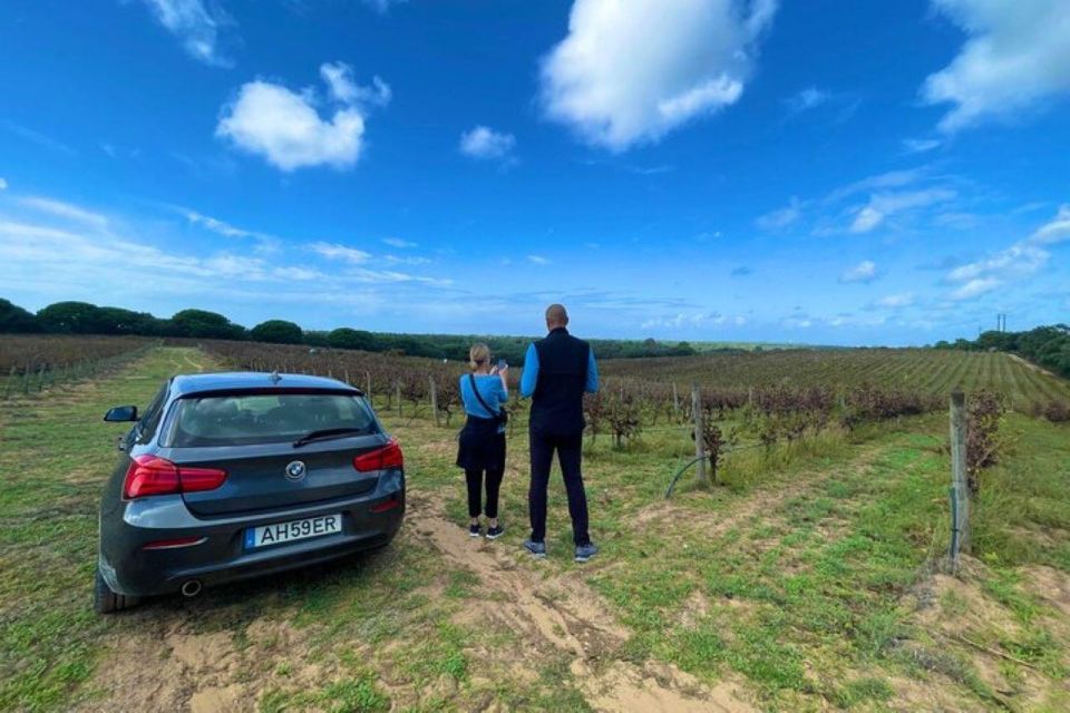 Lisbon: Private Full Day Evora & Alentejo Wine Tour - Transportation and Pickup