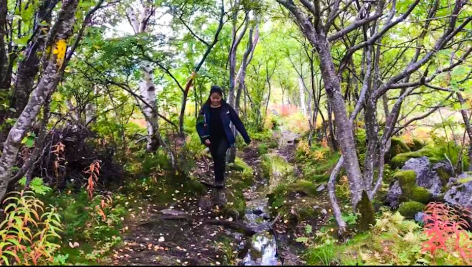 Lofoten Islands: Luxury Fishing, Hiking & Beach Tour - Booking and Availability