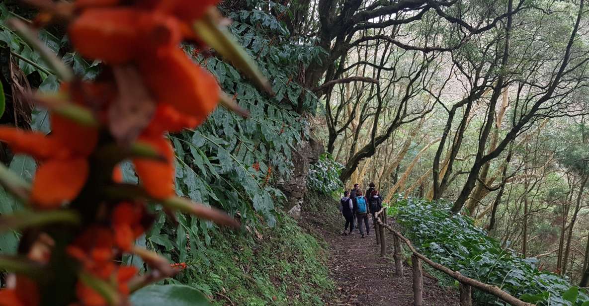 Lomba De São Pedro: Waterfall Hiking Tour With Tea Tasting - Parque Natural Da Ribeira Dos Caldeirões