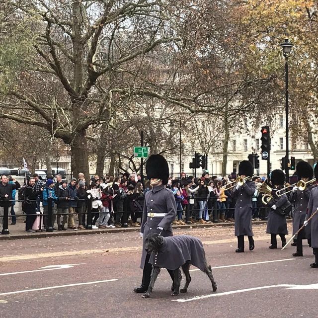 London: Private Changing of the Guard & Westminster Abbey - Discovering Londons Regal Atmosphere