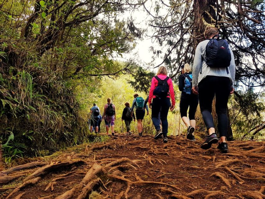 Madeira Island: Green Cauldron Levada Walk - Frequently Asked Questions