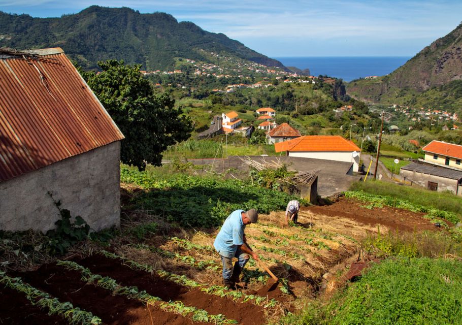 Madeira: The Best of South Jeep Tour - Frequently Asked Questions