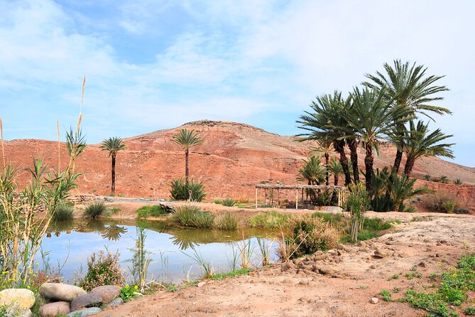 Marrakech Desert Buggy Tour Including Berber Tea Break and Transfer - Berber Village Visit