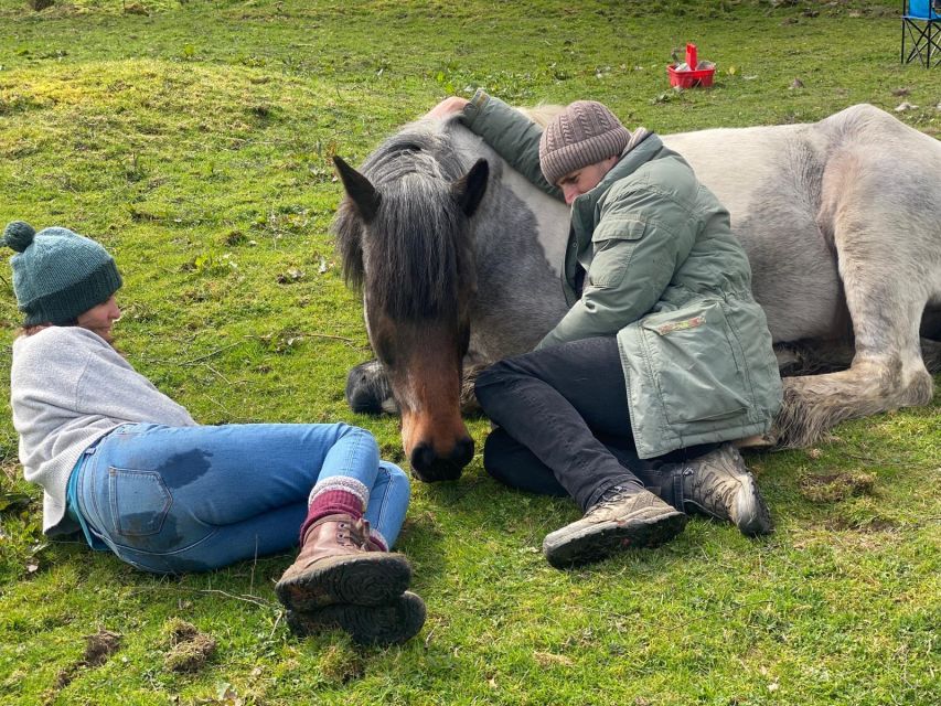 Meditate With Horses - Pricing and Booking Details